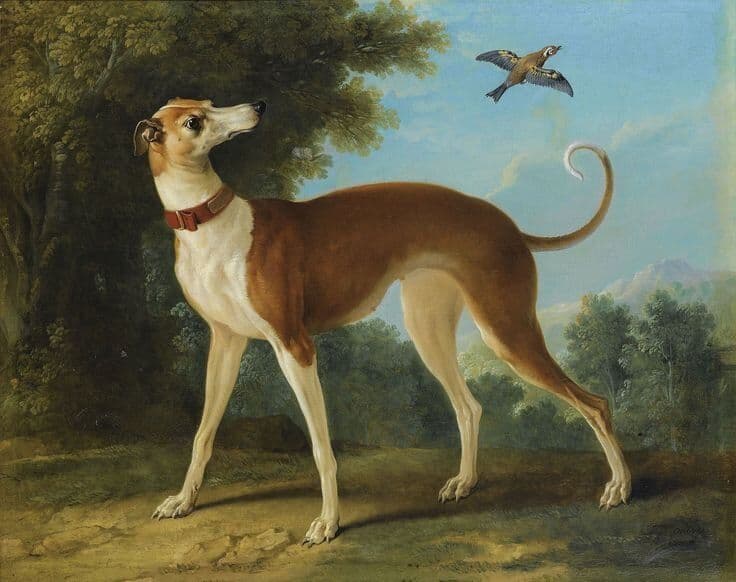 Le chien dans l’art : Quand la fidélité devient œuvre